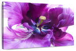 Purple Flower Wall Art