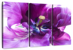 Purple Flower Wall Art