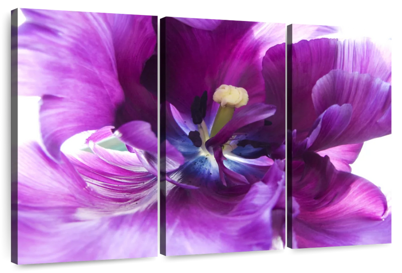 Purple Flower Wall Art