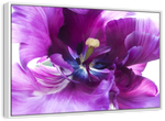 Purple Flower Wall Art