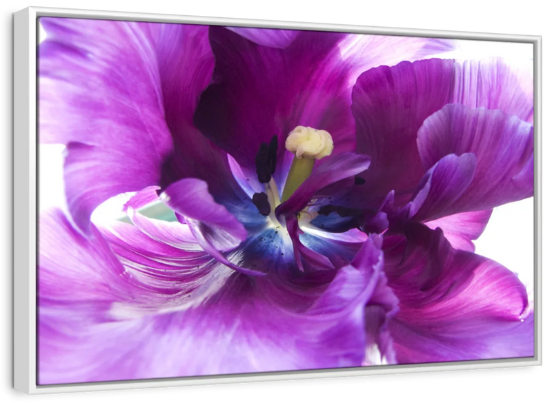 Purple Flower Wall Art