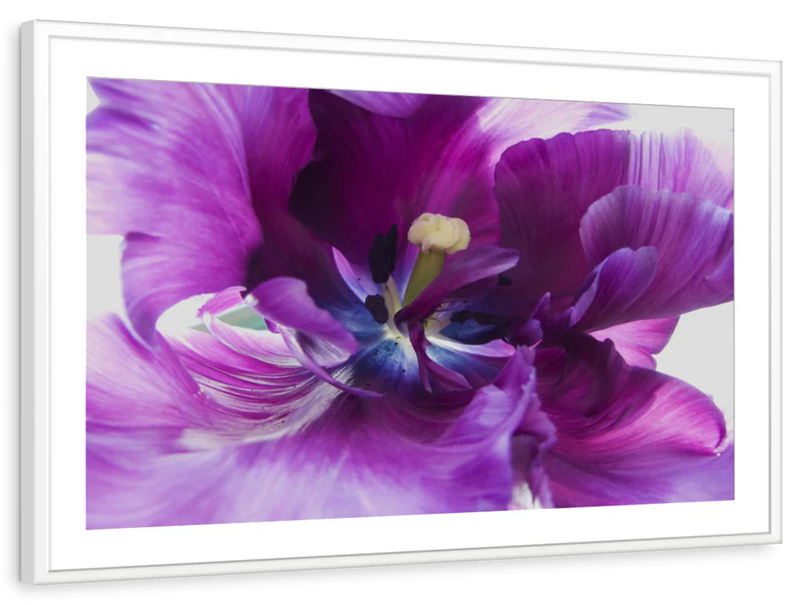 Purple Flower Wall Art