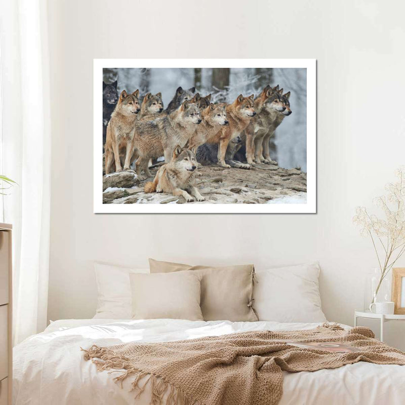 Wild Wolf Pack Wall Art
