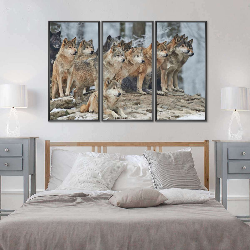 Wild Wolf Pack Wall Art