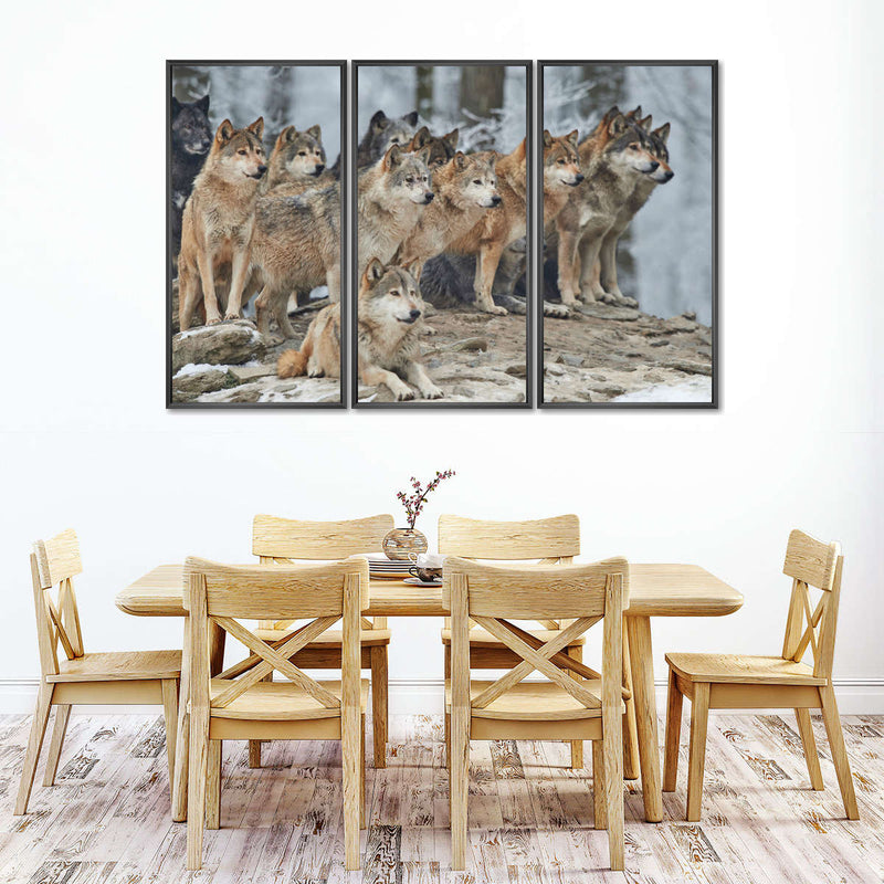 Wild Wolf Pack Wall Art