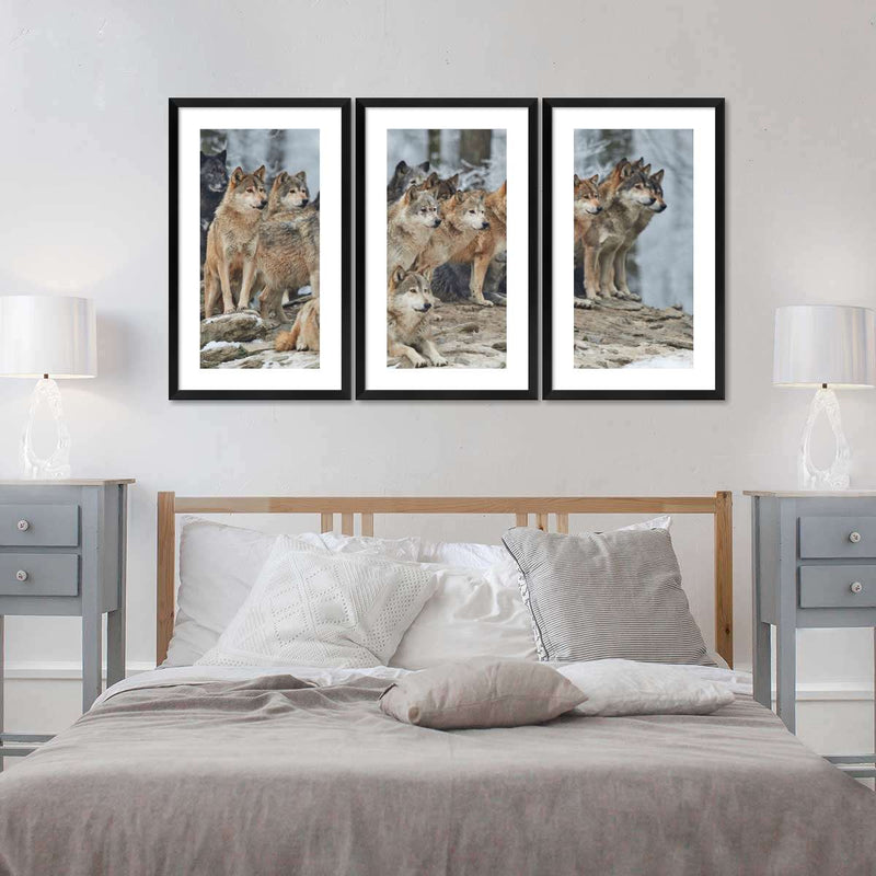 Wild Wolf Pack Wall Art
