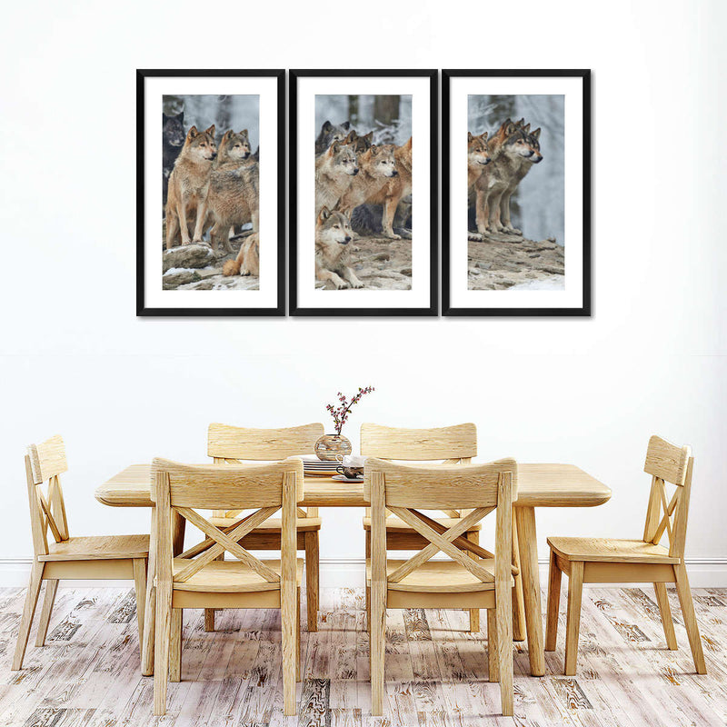 Wild Wolf Pack Wall Art