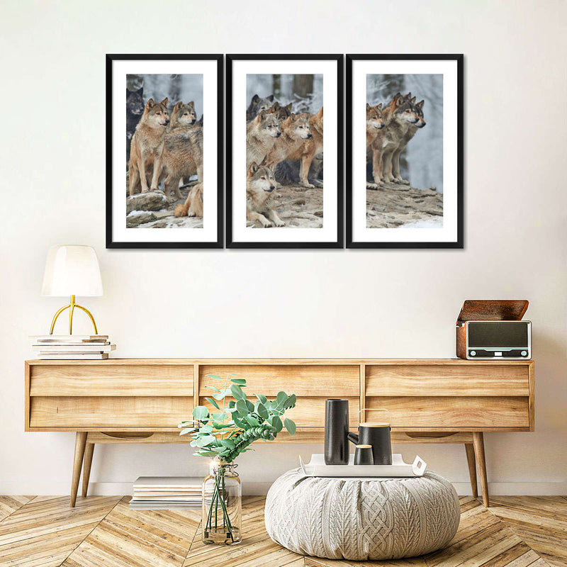 Wild Wolf Pack Wall Art