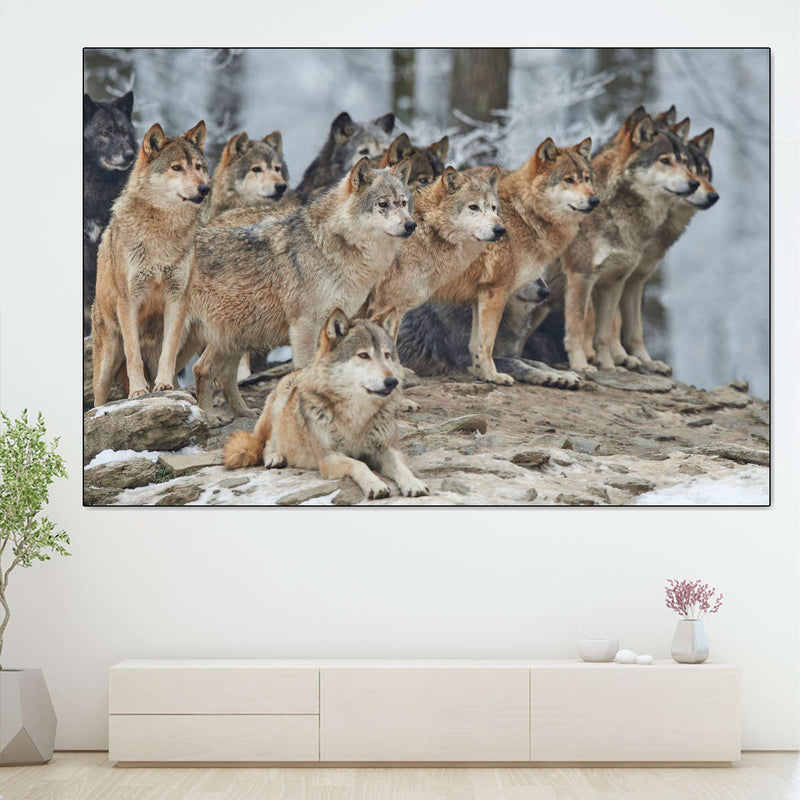 Wild Wolf Pack Wall Art