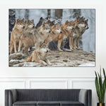 Wild Wolf Pack Wall Art