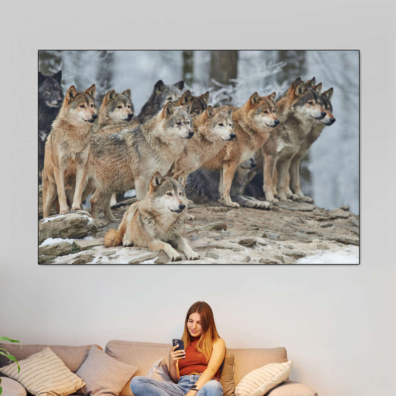 Wild Wolf Pack Wall Art