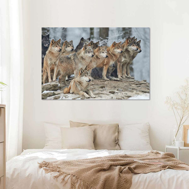 Wild Wolf Pack Wall Art