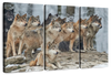 Wild Wolf Pack Wall Art