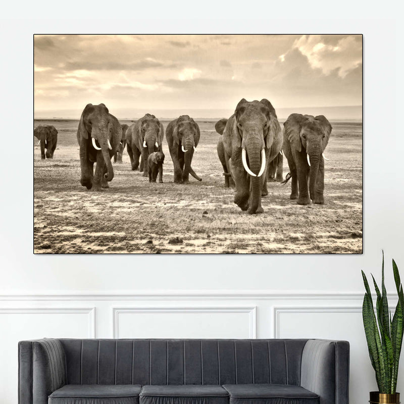 Herd Of Elephants Wall Art
