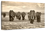Herd Of Elephants Wall Art