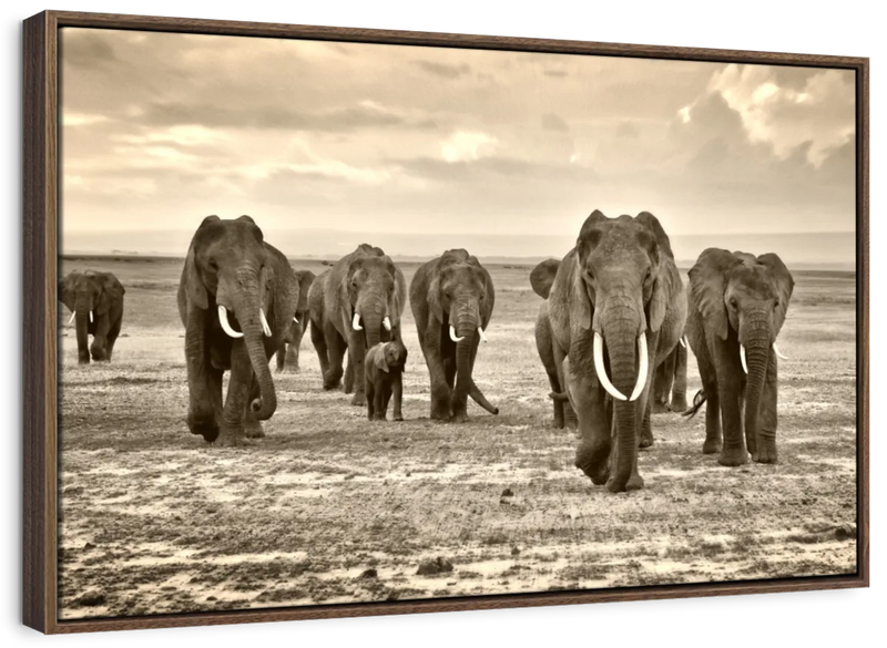 Herd Of Elephants Wall Art