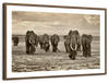 Herd Of Elephants Wall Art