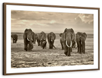 Herd Of Elephants Wall Art