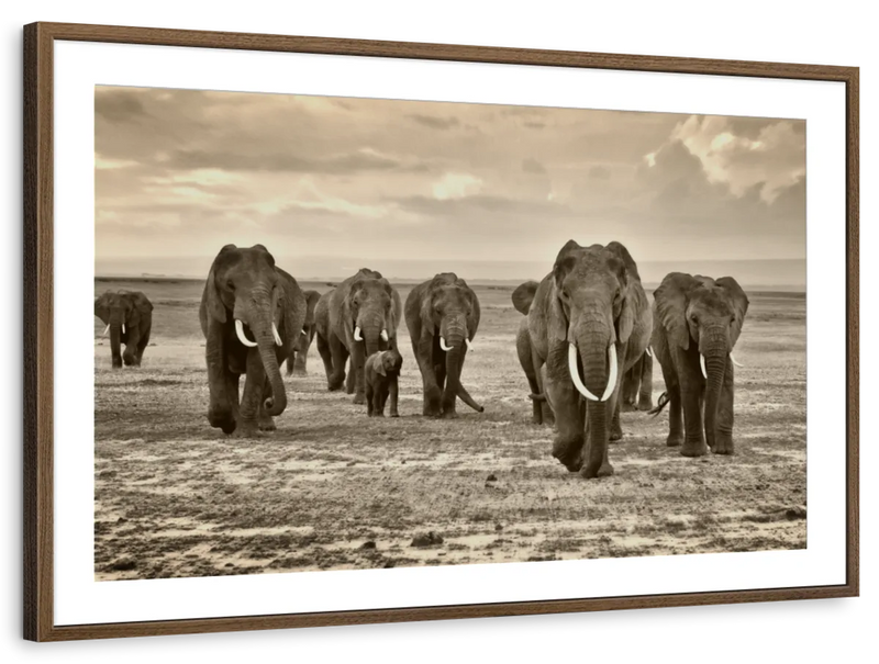 Herd Of Elephants Wall Art
