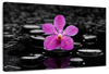 Zen Purple Orchid Wall Art