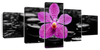 Zen Purple Orchid Wall Art