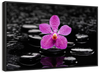 Zen Purple Orchid Wall Art