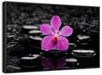 Zen Purple Orchid Wall Art