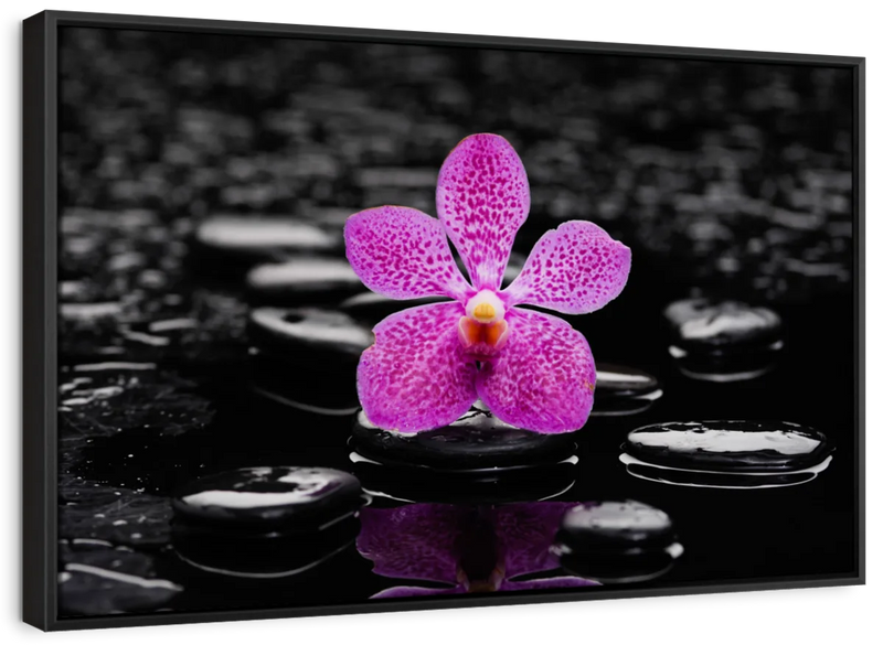 Zen Purple Orchid Wall Art