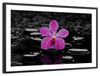 Zen Purple Orchid Wall Art