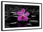 Zen Purple Orchid Wall Art