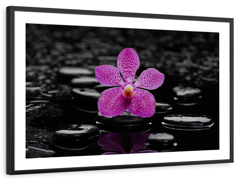 Zen Purple Orchid Wall Art
