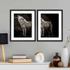 The Lone Wolf Wall Art