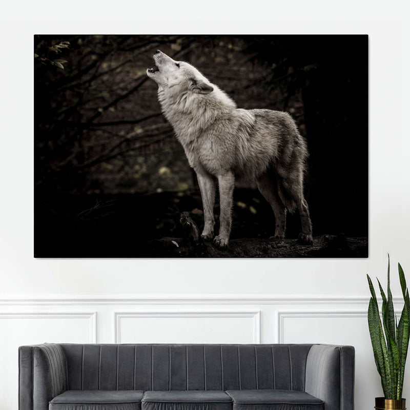 The Lone Wolf Wall Art