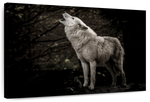 The Lone Wolf Wall Art