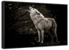 The Lone Wolf Wall Art