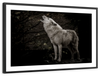 The Lone Wolf Wall Art