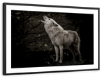 The Lone Wolf Wall Art