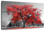 Red Tree Wall Art