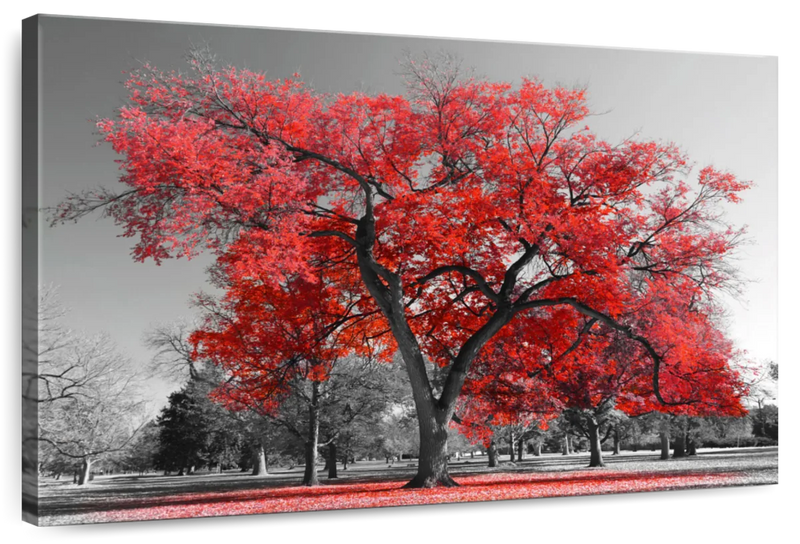 Red Tree Wall Art