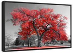 Red Tree Wall Art