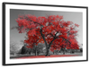 Red Tree Wall Art
