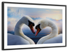 Swan Romance Wall Art