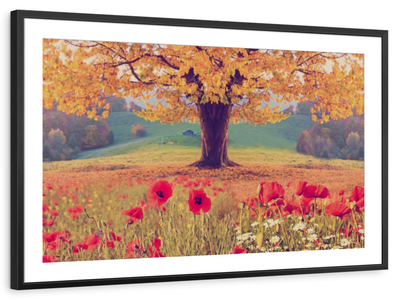 Sunday Picnic Wall Art