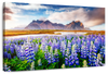 Majestic Lupines Wall Art