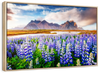 Majestic Lupines Wall Art