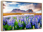 Majestic Lupines Wall Art