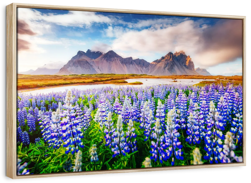 Majestic Lupines Wall Art
