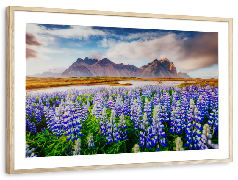 Majestic Lupines Wall Art