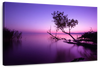 Violet Toned Lake Wall Art