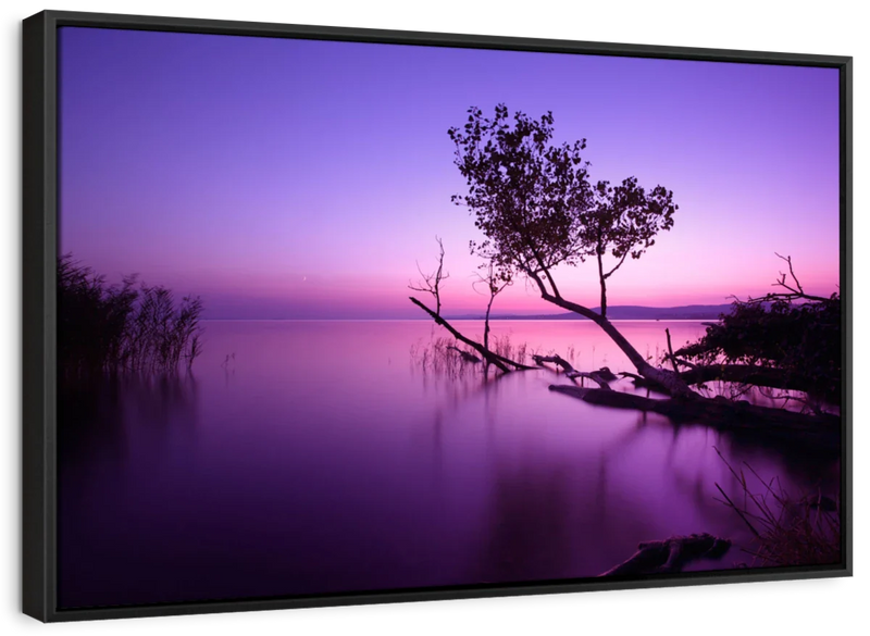Violet Toned Lake Wall Art